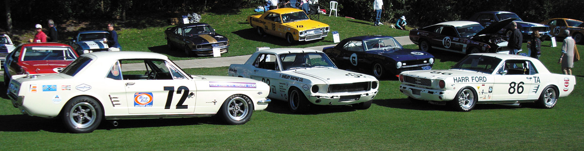 1966 Shelby Notchbacks