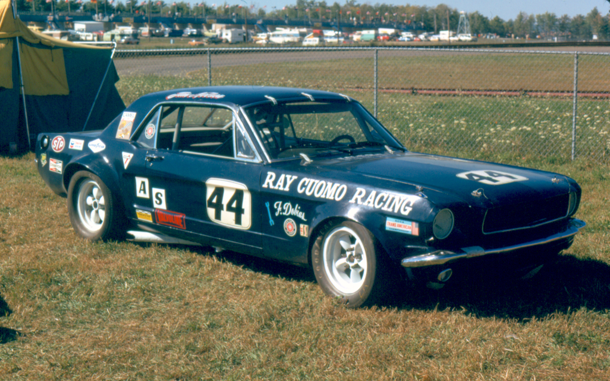 Shelby Notchback Watkins Glen